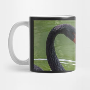 black swan Mug